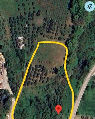 Terreno agricolo bosco uliveto