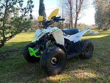 Lem Motore Quad