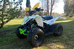 Lem Motore Quad