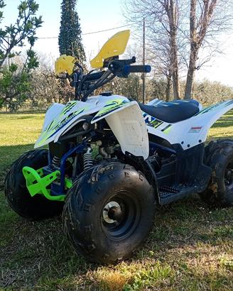 Lem Motore Quad