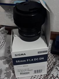 Sigma 56mm + Sony 55-210 + 2 Meike