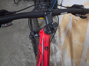 Bicicletta lombardo 