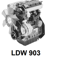 Motore lombardini LDW 903 LDW903 1003 LDW1003 FOCS