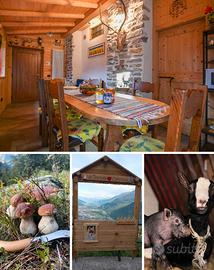 Valtartano (Valtellina) - B&B immerso nel verde co