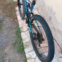 specialized camber carbon 29