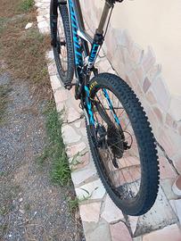 specialized camber carbon 29