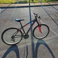 Bicicletta Torpado  MTB 26