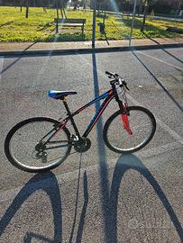 Bicicletta Torpado  MTB 26