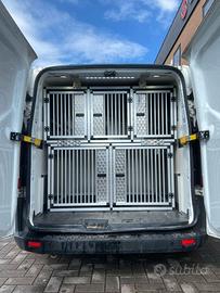 Ford Transit Custom trasporto cani
