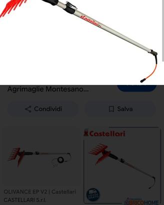 Abbattitore olive Castellari