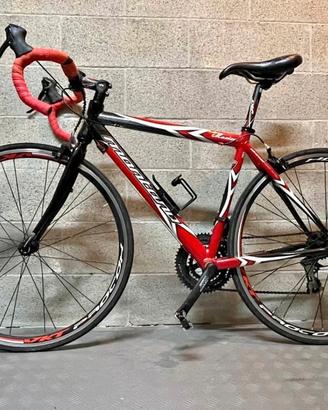 Bici da corsa Montana Mexico