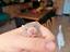 Immagine 4