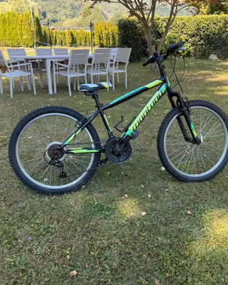 MTB Montana escape 24