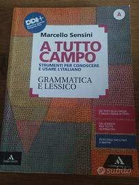 "A tutto campo" Grammatica e lessico di M. Sensini