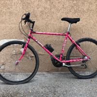 MTB per appassionati