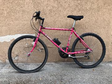 MTB per appassionati