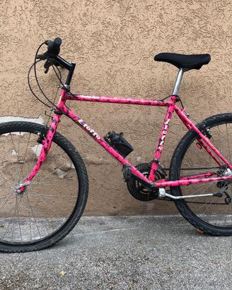 MTB per appassionati