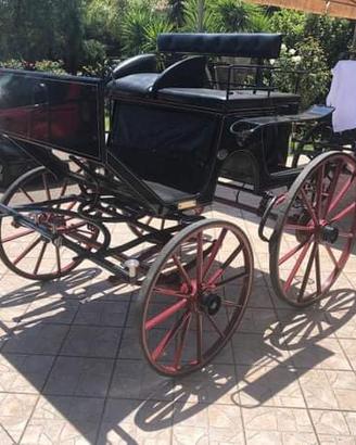 Carrozza mod. Spider (025)