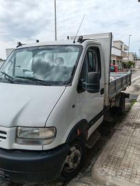 Renault mascotte