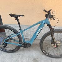Rossignol 29