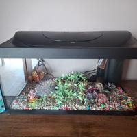 ACQUARIO TETRA