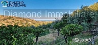 Terreno agricolo 12.000 mq a piedimonte etneo
