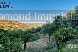 Terreno agricolo 12.000 mq a piedimonte etneo