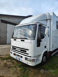 Camion trasporto cavalli