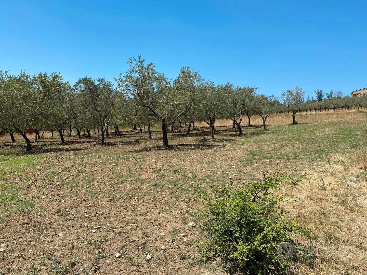 Terreno panoramico - Vista 6