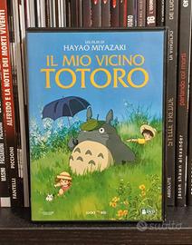 Il Mio Vicino Totoro Hayao Miyazaki Studio Ghibli 