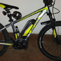 Bicicletta elettrica