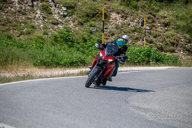 Multistrada 950