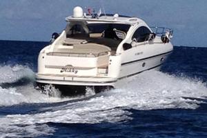 Primatist G41.2 2011