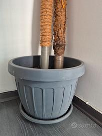 coppia di vasi da esterno in plastica