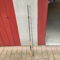 Canna da pesca