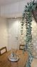 appartamento-palermo-cod-rif-3386605arg-