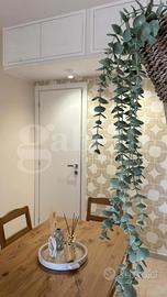 Appartamento Palermo [Cod. rif 3386605ARG]