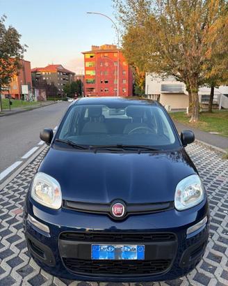 Fiat Panda Easy 1.2 69 CV-Unico proprietario