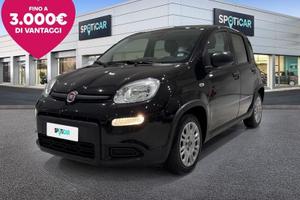 FIAT Panda 1.0 FireFly 70cv S&S Hybrid