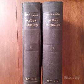 Anatomia topografica 