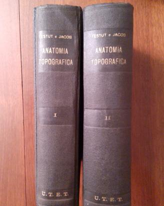 Anatomia topografica 