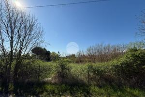 TER. AGRICOLO A SAN SECONDO DI PINEROLO