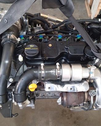 MOTORE FORD SIGLA XUJA-XUJB-C1BQ 1.5 TDCi 8V 75CV 