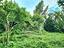Immagine 12