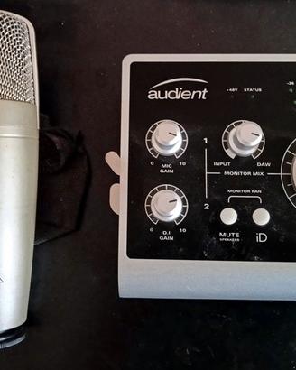 Microfono a Condensatore e Scheda Audio Audient