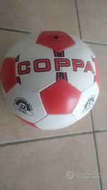 Pallone da calcio