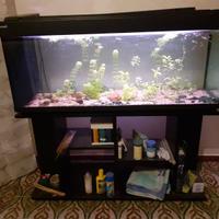 Acquario 200 litri con mobile