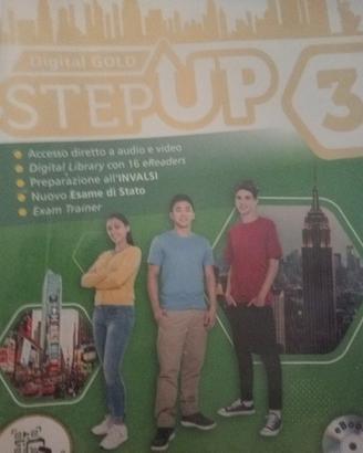 Step up 3