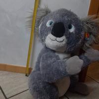 peluche koala 