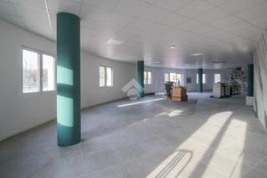 NEGOZIO A CASTELNUOVO RANGONE